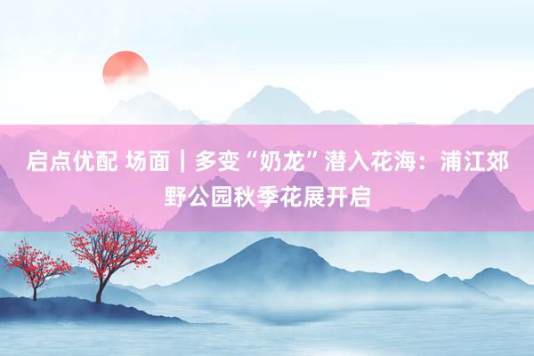 启点优配 场面｜多变“奶龙”潜入花海：浦江郊野公园秋季花展开启