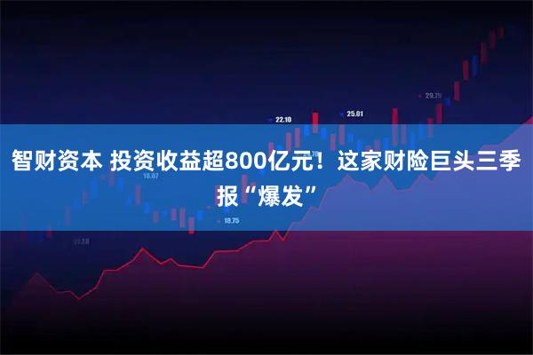智财资本 投资收益超800亿元！这家财险巨头三季报“爆发”