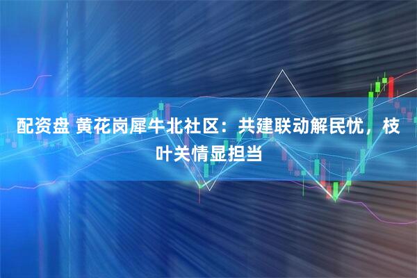 配资盘 黄花岗犀牛北社区：共建联动解民忧，枝叶关情显担当